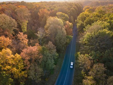 Gün batımında güzel bir sonbahar ormanında beyaz arabalı hava manzaralı bir yol..