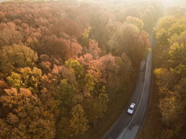 Sarı ve turuncu sonbahar ormanlarında beyaz arabalı kırsal yol manzarası