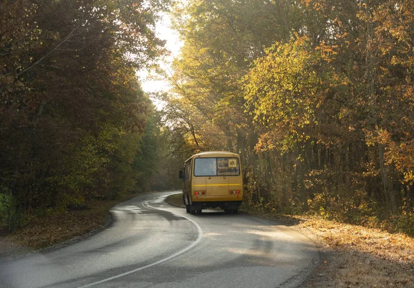 Aerial View Road School Bus Beautiful Autumn Forest Sunset — Stock Photo, Image