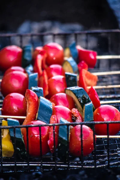 Appetizing grilled vegetables on skewers over steaming brazier. Picnic with vegetables grilled in nature.