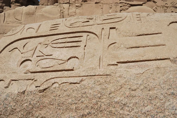 Egyptian Hieroglyphs Macro Close Shot Tourist Trip Africa Cut Granite — Stock Photo, Image