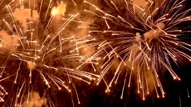 Fuochi d'artificio in cielo. Esplosione di molte luci brillanti. Preso il 9 maggio per festeggiare. Incendio e pirotecnica festa evento . — Video Stock