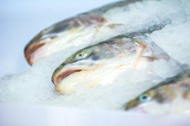 Buz üzerinde taze iştah açıcı soğuk balık.