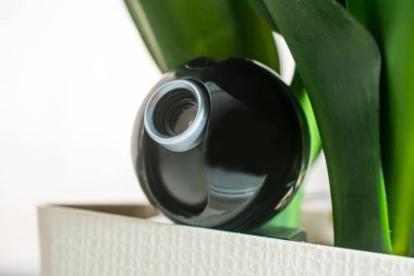 Webcam hou gizli gözetim için bir saksı gizli