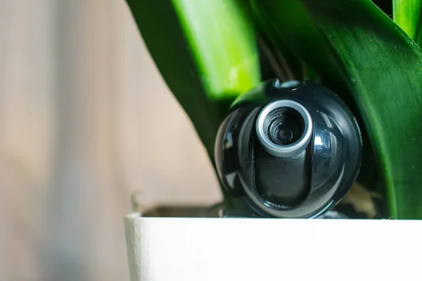 Webcam versteckt in einem Blumentopf für die verdeckte Überwachung der hou — Stockfoto