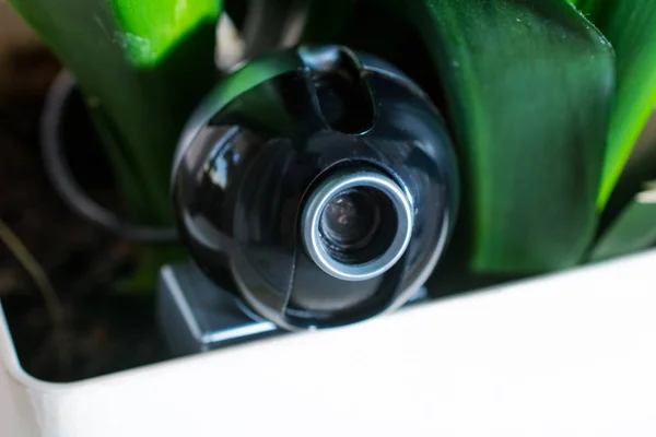 Webcam hou gizli gözetim için bir saksı gizli