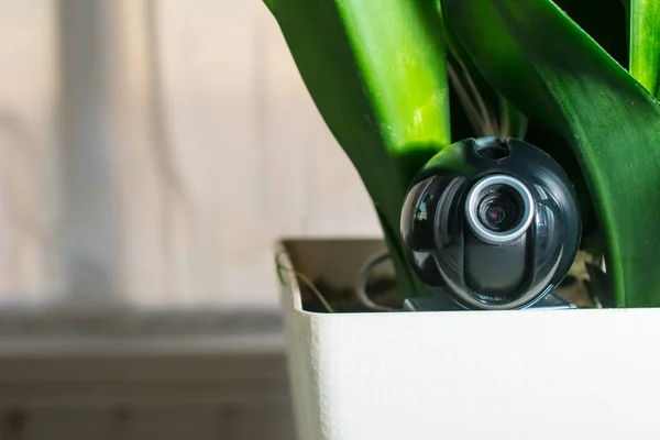 Webcam hou gizli gözetim için bir saksı gizli