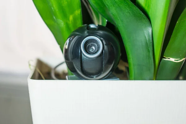 Webcam versteckt in einem Blumentopf für die verdeckte Überwachung der hou — Stockfoto