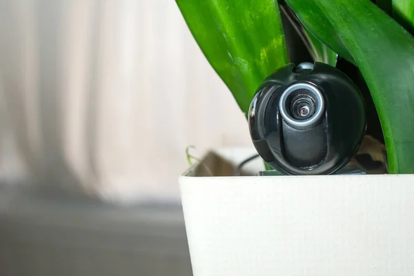 Webcam nascosta in un vaso di fiori per la sorveglianza segreta del hou — Foto Stock