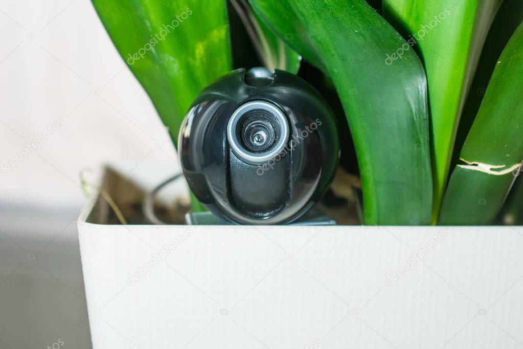Webcam hidden in a flower pot for covert surveillance of the hou