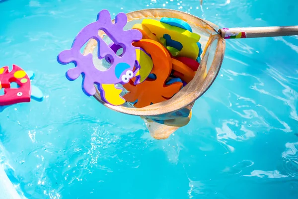 Çocuklar için eğitici su oyunu. Sayıları n harfleri ve hayvanların görüntüleri ve balıkçılık için bir ağ şeklinde Balık. Çocuklar için eğlenceli