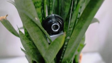 Evin gizli takibi için kadın iç çamaşırına gizli kamera yerleştirilmiş. Gözetleme ve güvenlik sistemleri. Akıllı Ev. Casusluk. İzlemek için gizli kamera