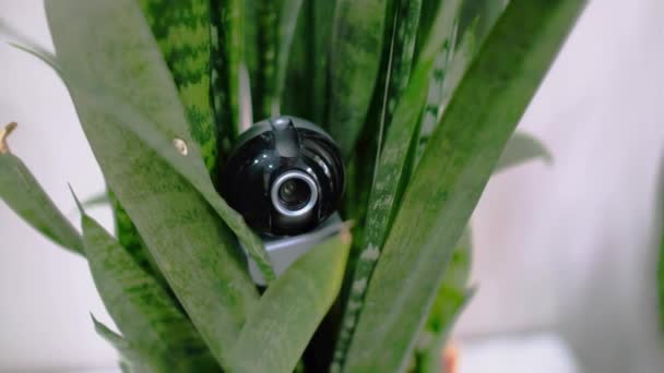 Веб Камера Спрятанная Женском Белье Скрытого Наблюдения Домом Системы Наблюдения — стоковое видео