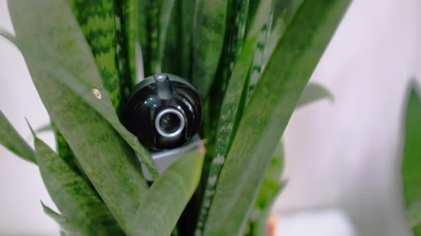 Webcam藏在女士内衣里对房子进行秘密监视监视和安全系统 聪明的房子间谍的事 用于观看的隐藏相机 — 图库视频影像