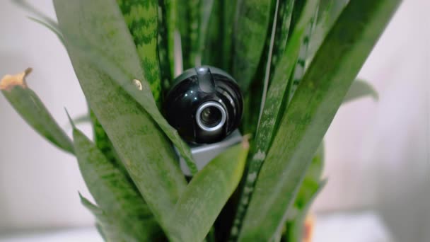 Webcam Versteckt Damenunterwäsche Zur Verdeckten Überwachung Des Hauses Überwachungs Und — Stockvideo