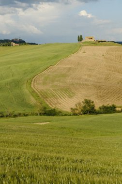 Val D'Orcia tipik Tuscany Peyzaj doğal görünümü: hills, çayırlar ve yeşil alanlar. Toskana, İtalya, Europe