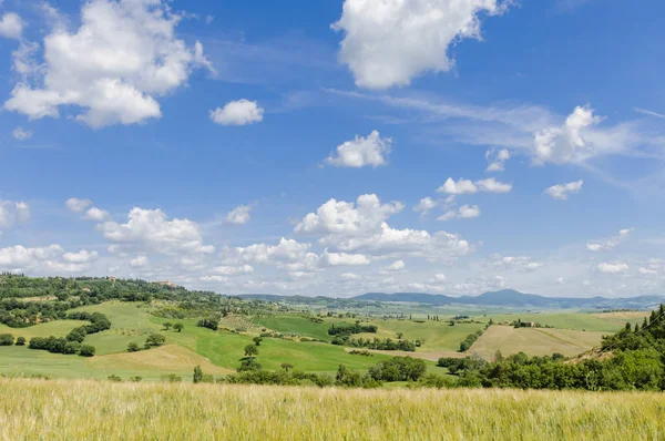 Val Orcia Tipik Tuscany Peyzaj Doğal Görünümü Hills Çayırlar Yeşil — Stok fotoğraf