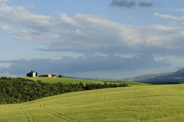 Malowniczy Widok Typowy Krajobraz Tuscany Val Orcia Wzgórza Łąki Zielone — Zdjęcie stockowe