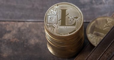 Ahşap masa üstü deri cüzdan ile Litecoin