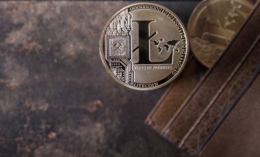 Ahşap masa üstü deri cüzdan ile Litecoin
