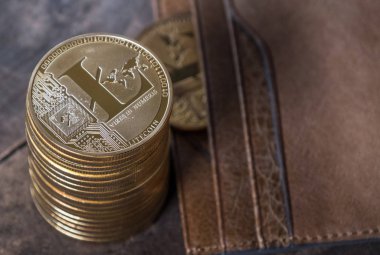 Ahşap masa üstü deri cüzdan ile Litecoin