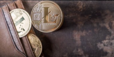 Ahşap masa üstü deri cüzdan ile Litecoin