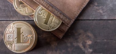 Ahşap masa üstü deri cüzdan ile Litecoin