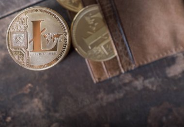Ahşap masa üstü deri cüzdan ile Litecoin