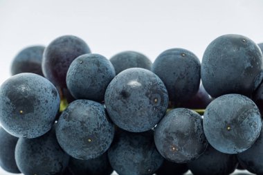 Beka beyaz arka plan siyah üzüm meyve