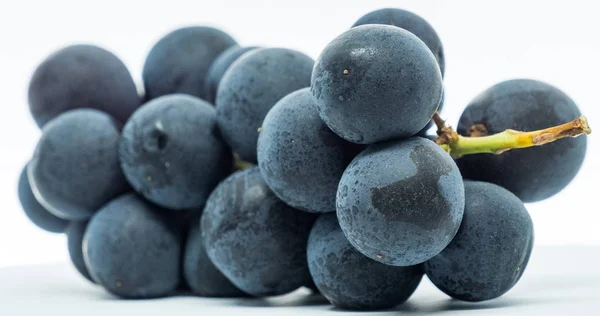 Fruits Raisin Noir Sur Fond Blanc — Photo