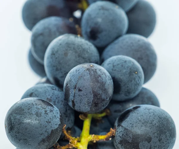 Frutos Uva Negra Sobre Fondo Blanco — Foto de Stock