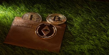 Popular crypto currencies with leather wallet on green grass. clipart