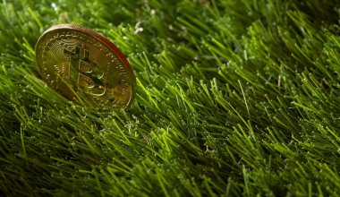 Bitcoin yeşil çimenlerin üzerinde.