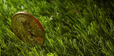 Bitcoin yeşil çimenlerin üzerinde.