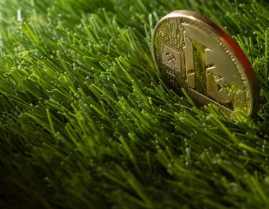 Litecoin yeşil çimenlerin üzerinde