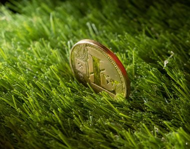 Litecoin yeşil çimenlerin üzerinde