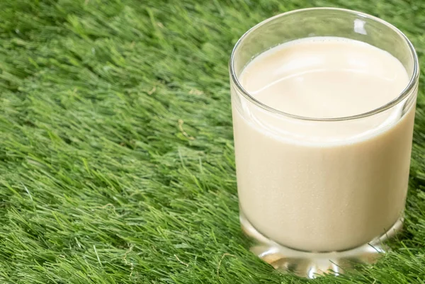 Стакан Молока Зеленой Траве — стоковое фото
