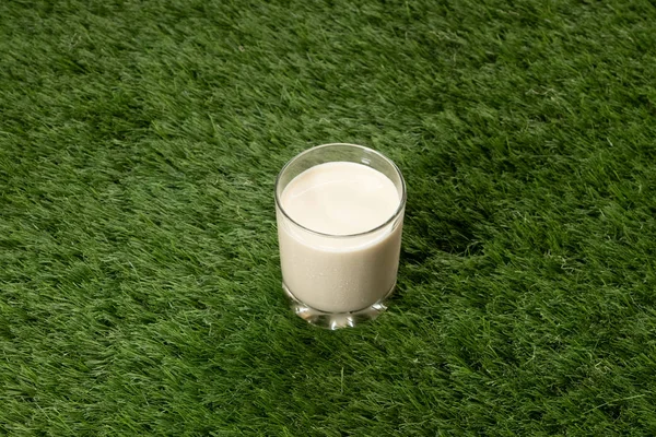 Bicchiere Latte Sull Erba Verde — Foto Stock