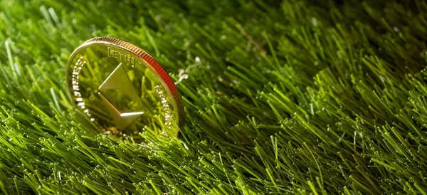 Ethereum Coin Green Grass — Stock Photo, Image