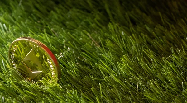 緑の芝生の上の Ethereum コイン — ストック写真