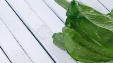 İzole üzerinde beyaz hardal yeşil yaprakları