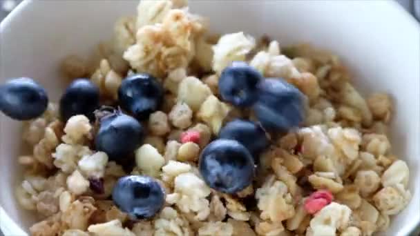 早餐麦片粥在白碗里 添加蓝莓 — 图库视频影像