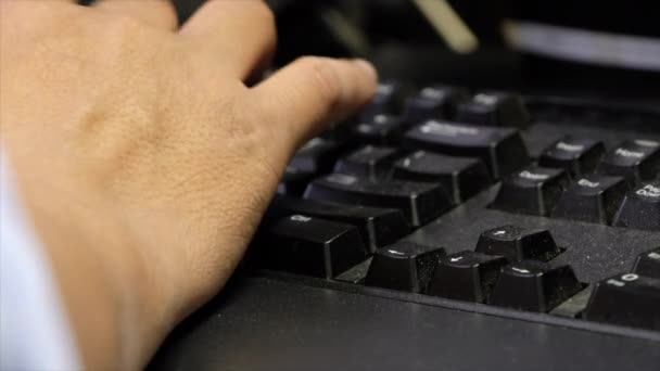Мужские Руки Печатающие Клавиатуре — стоковое видео