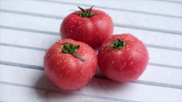 Mogna Tomater Med Vattendroppar — Stockvideo