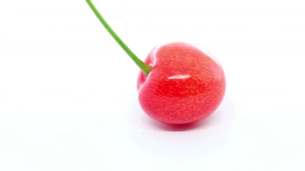 Cherry Fruit White Background — Stock Video