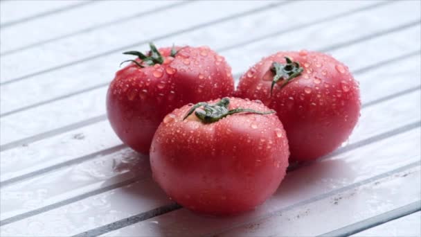 Tomates Maduros Con Gotitas Agua — Vídeos de Stock