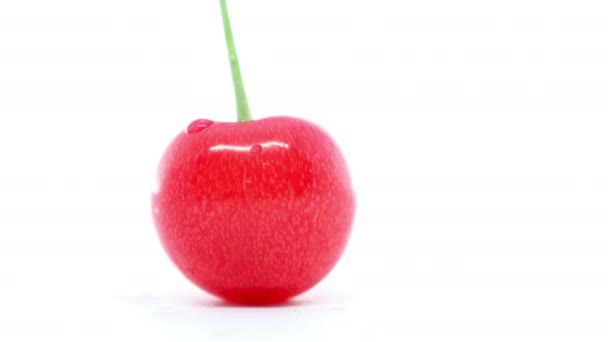 Fruta Cereza Sobre Fondo Blanco — Vídeos de Stock