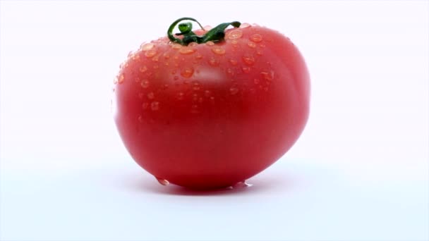 Ripe Tomato Water Droplets — Stock Video