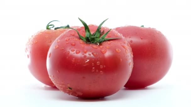 Rijpe Tomaten Met Waterdruppeltjes — Stockvideo