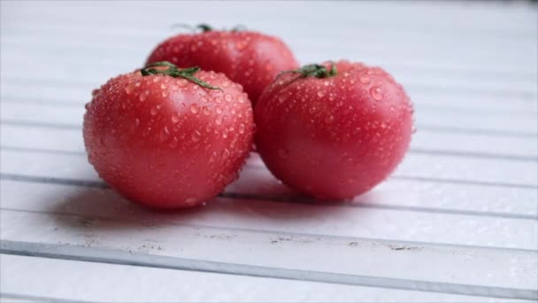 Tomates Maduros Con Gotitas Agua — Vídeo de stock